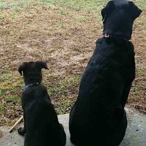 Meet your Posher, Karen